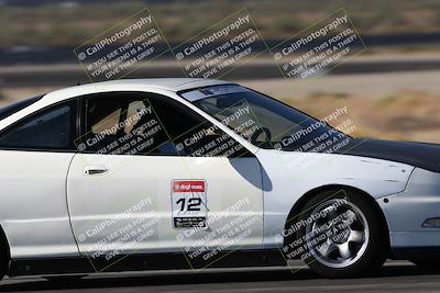 media/Oct-24-2025-Doghouse Garage (Fri) [[783d2ff07a]]/1-Advanced/Session 2 Turn 5 Tree of Life/